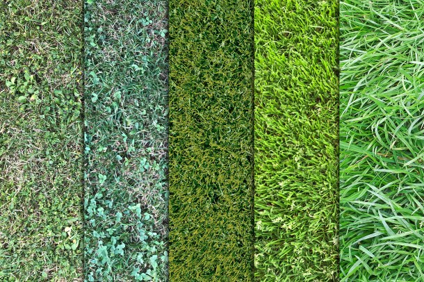 2 Grass Textures Vol 2 x10 (1820)